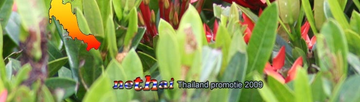 Thailand promotie Nethai Media
